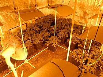 Gardai seize cannabis, tobacco...